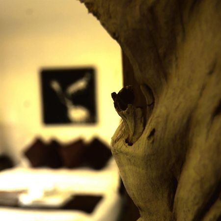 Cocooning Hotel Bophut Exteriér fotografie